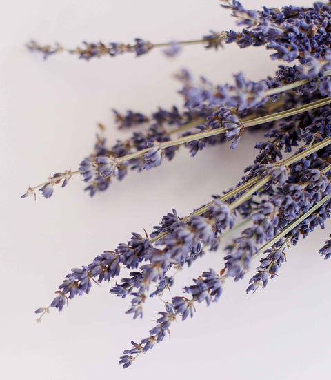 Fresh Season. Timeless Pieces.