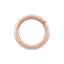 16G Eden Solid Gold Seamless Hoop Clicker